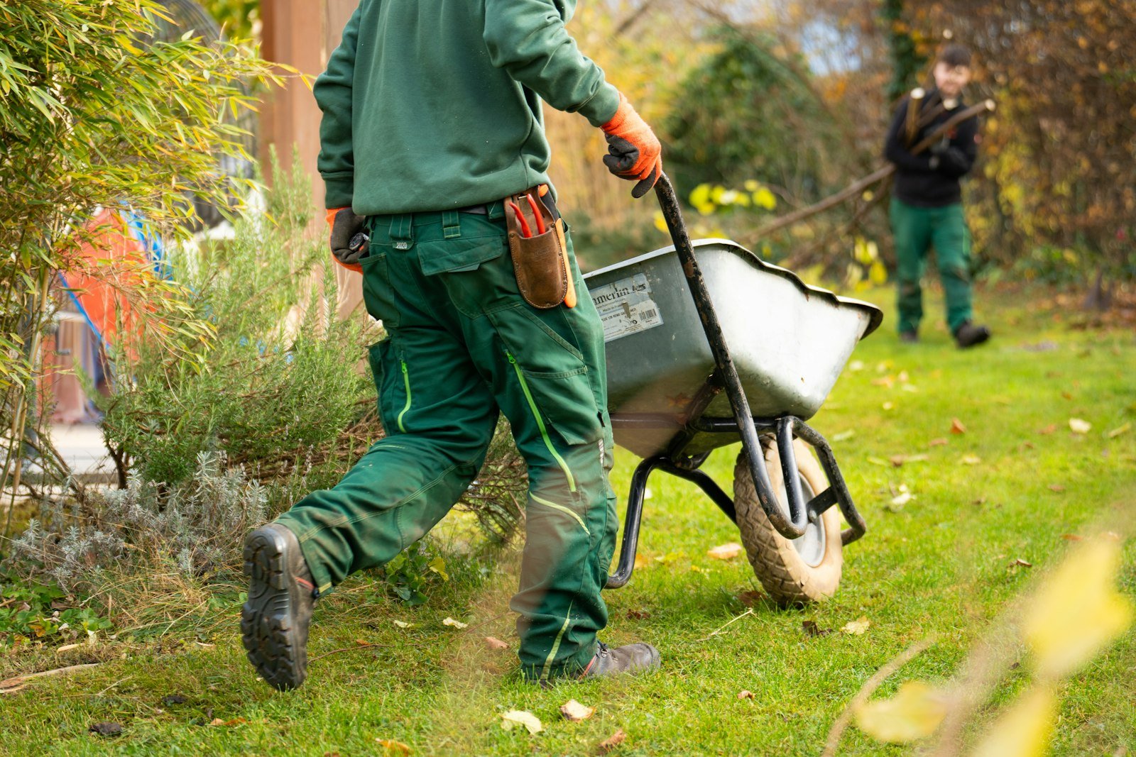 Tree Service Answering Service: Storm Calls, Estimates and Emergencies