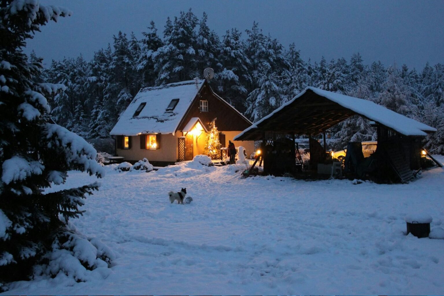 Homes in the snow at dusk with lights on